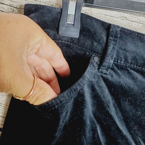 Ann Taylor Petite Velvet The Skinny Modern Pants Size 6P - Picture 3 of 7